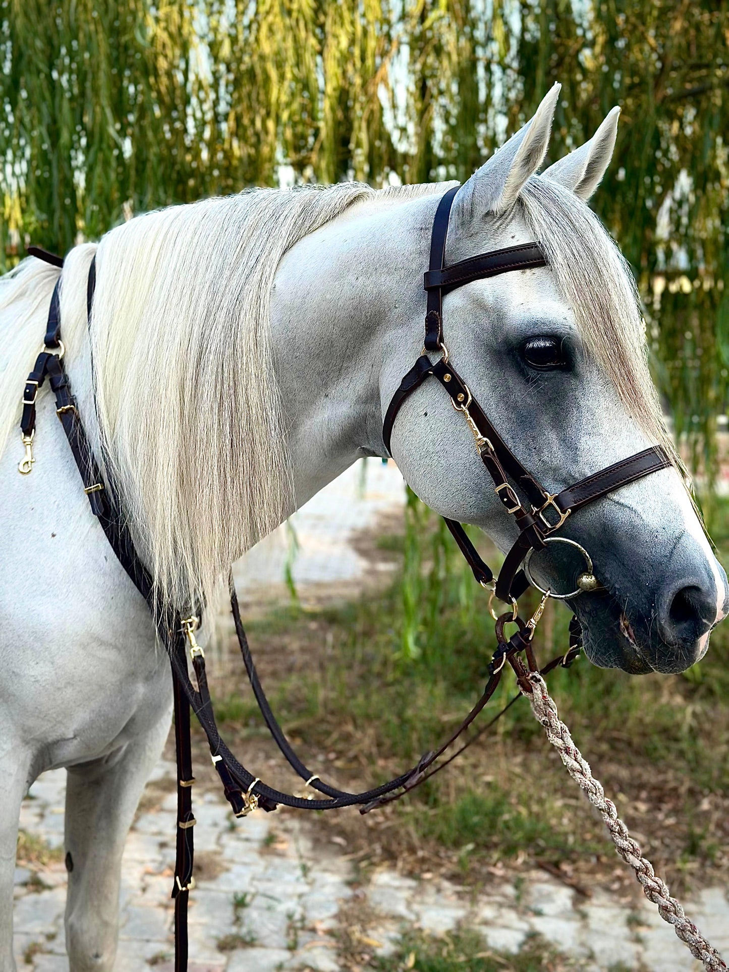 Göğüslük 01