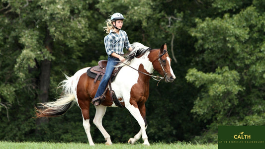 Binicilik Aksesuarları Nedir, Ne İşe Yarar?