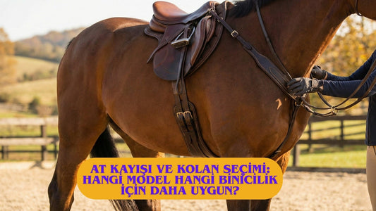 At Kayışı ve Kolan Seçimi: Hangi Model Hangi Binicilik İçin Daha Uygun?