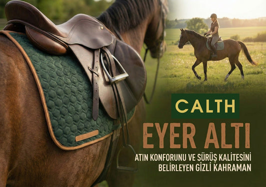 Eyer Altı: Atın Konforunu ve Sürüş Kalitesini Belirleyen Gizli Kahraman