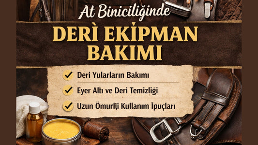 At Biniciliğinde Deri Ekipman Bakımı: Deri Yulardan Eyeraltıya Adım Adım Uzun Ömürlü Bakım Rehberi