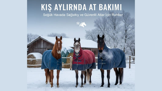 Kış Aylarında At Bakımı: Soğuk Havada Sağlıklı ve Güvenli Atlar İçin Rehber