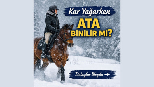 Kar Yağarken Ata Binilir mi? Bilmeniz Gerekenler