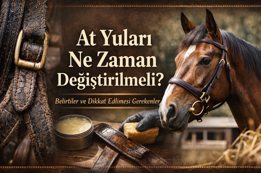 At Yuları Ne Zaman Değiştirilmeli?