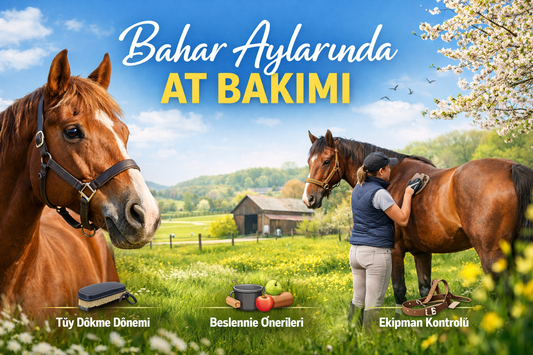 Bahar Aylarında At Bakımı Nasıl Yapılır? Detaylı Rehber
