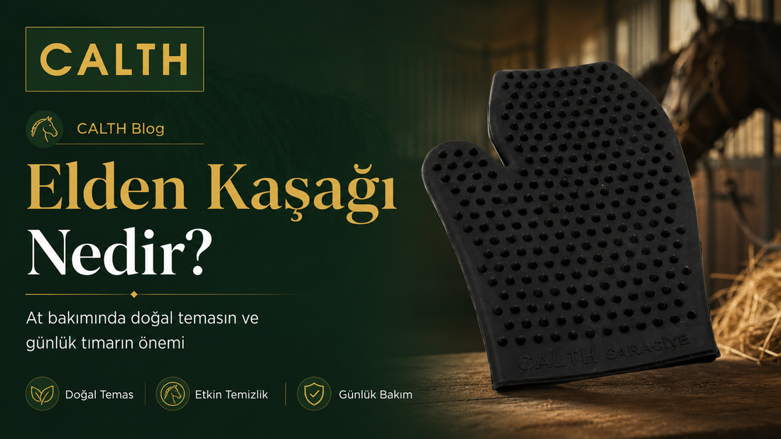 Elden Kaşağı Nedir? At Bakımında Doğal Temasın ve Günlük Tımarın Önemi
