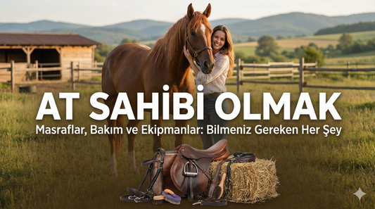 At Sahibi Olmak: Bilmeniz Gereken Her Şey (Masraflar, Bakım ve Ekipmanlar)