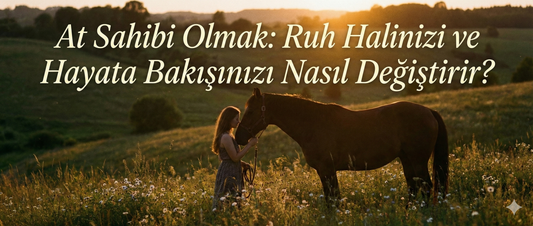 At Sahibi Olmak: Ruh Halinizi ve Hayata Bakışınızı Nasıl Değiştirir?