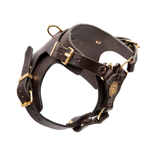 Köpek Deri Vücut Tasması 02