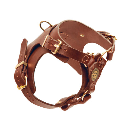 Köpek Deri Vücut Tasması 02