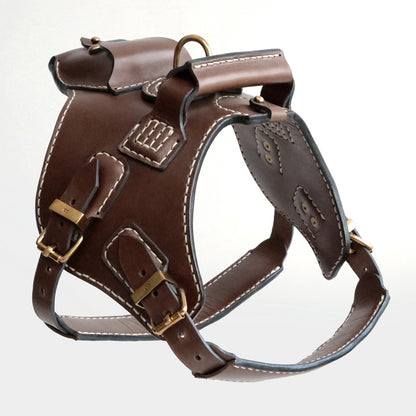 Köpek Deri Vücut Tasması 01