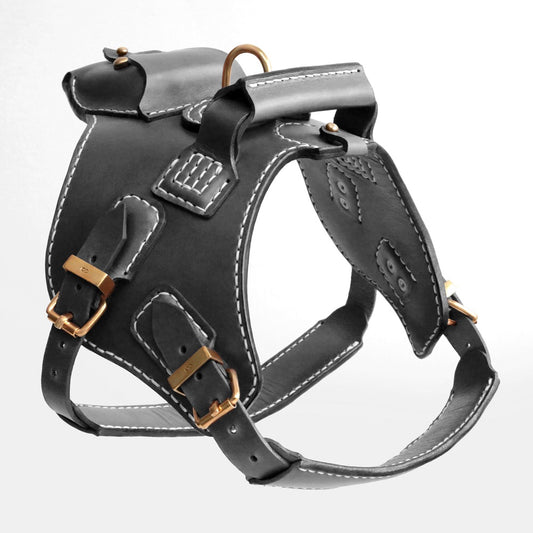 Köpek Deri Vücut Tasması 01