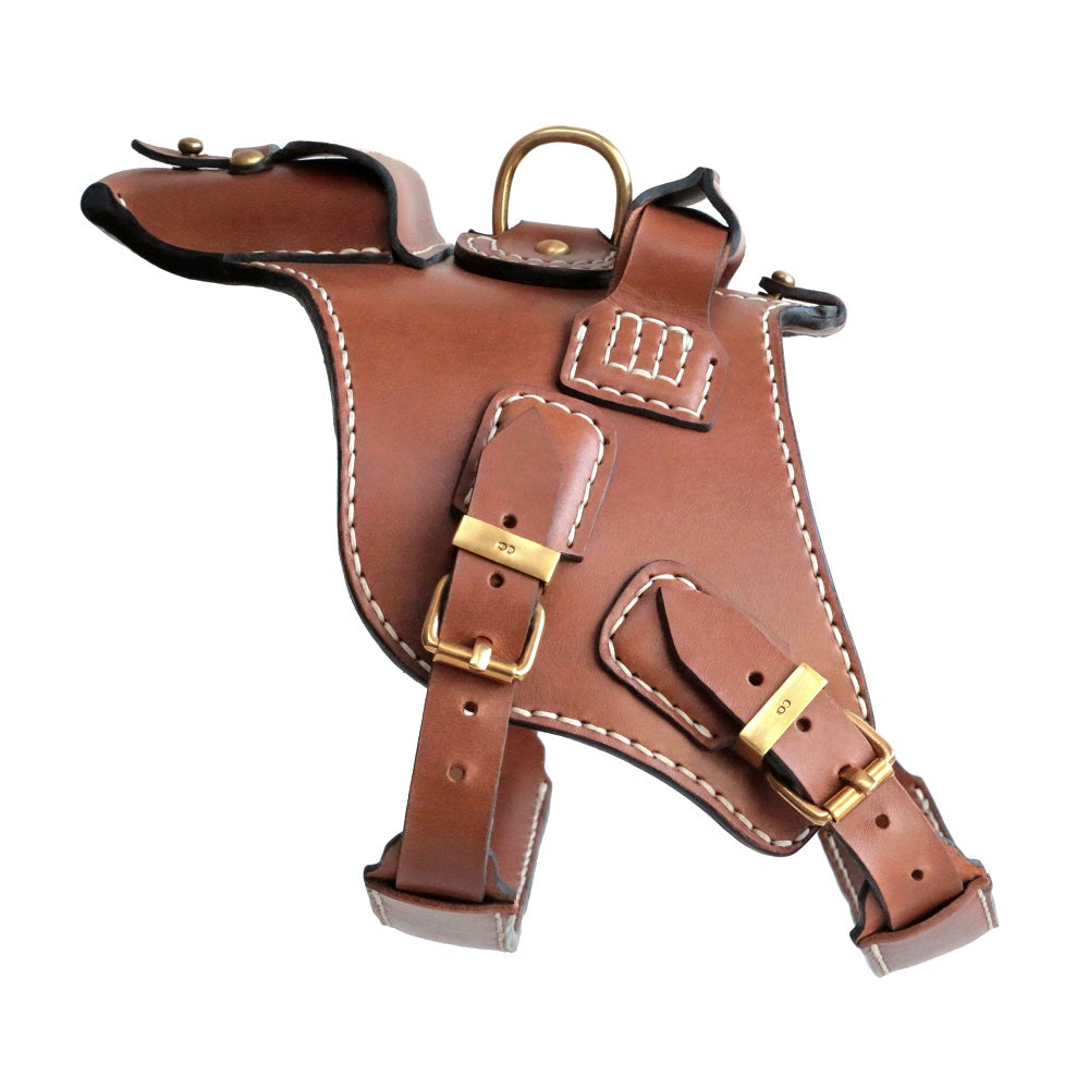 Köpek Deri Vücut Tasması 01