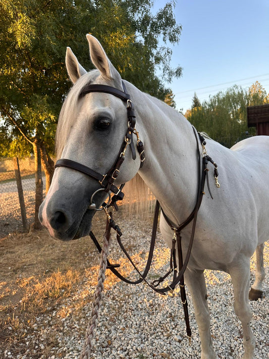 Başık Dizgin ve Göğüslük set