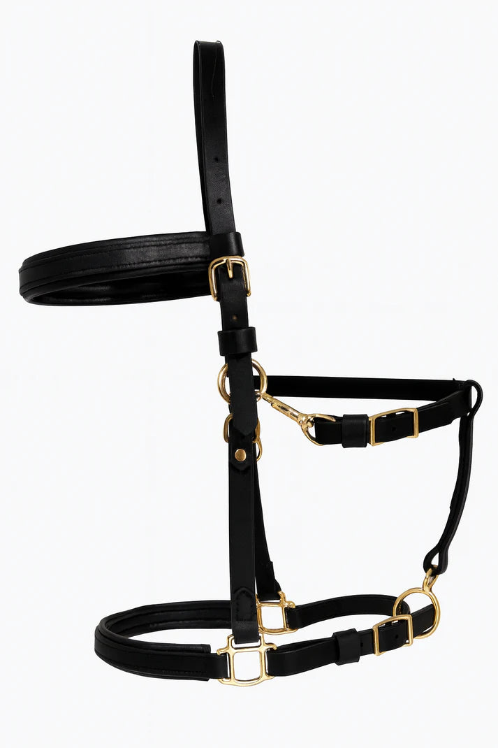 Başık Dizgin ve Göğüslük set