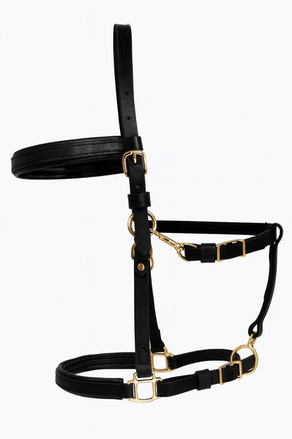 Başık Dizgin ve Göğüslük set