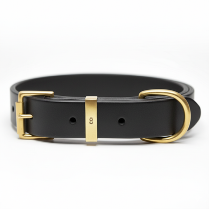 Köpek Deri Boyun Tasması 02