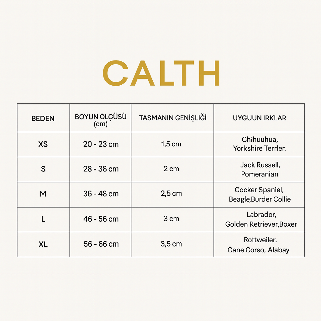 Köpek Deri Boyun Tasması 01